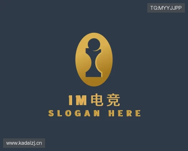 关于IM平台